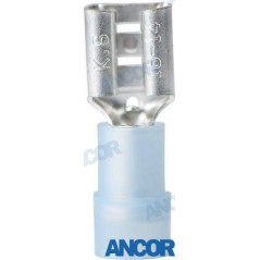 Ancor - TERMINALES NYLON, BLISTER