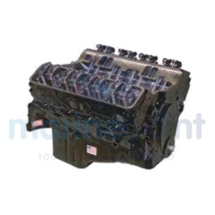 MOTOR 4,3L, V6, COMPLETO LJT