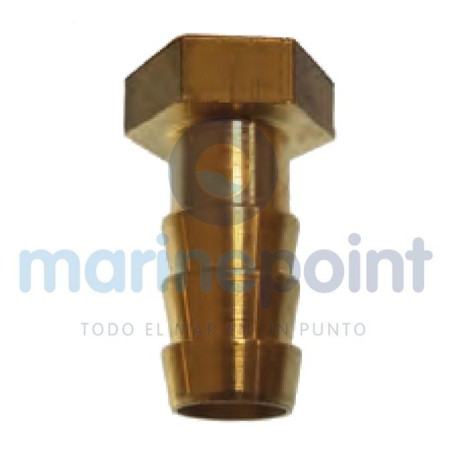 Maestrini - ENTRONQUE LATON HEMBRA 1" x 30mm, MAESTRINI