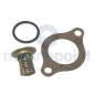 TERMOSTATO VOLVO-OMC, KIT (REC75-02380)