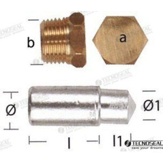 Tecnoseal - ANODO LOMBARDINI c/TAPON