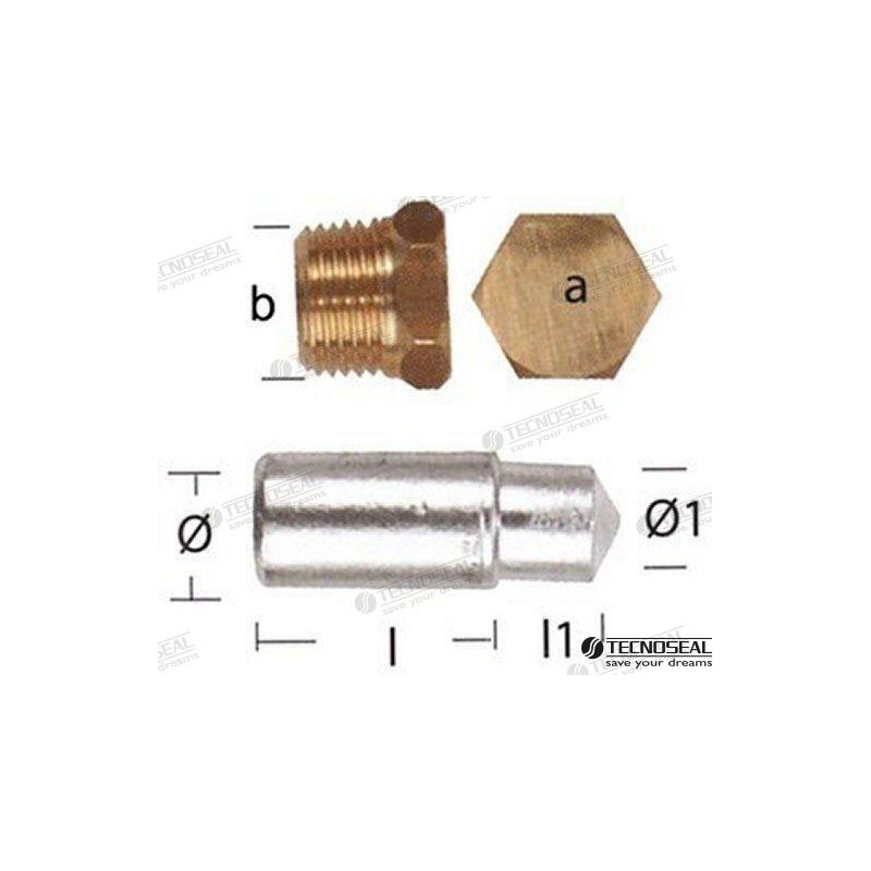 ANODO LOMBARDINI c/TAPON, TECNOSEAL