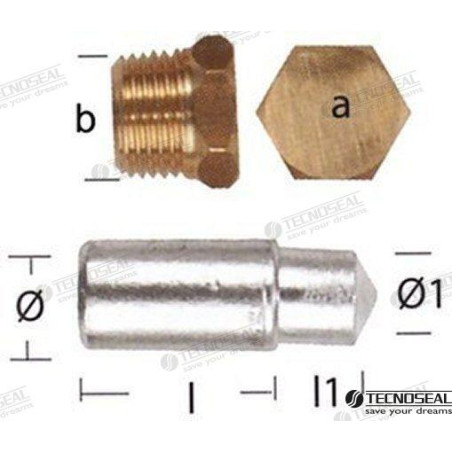 Tecnoseal - ANODO LOMBARDINI c/TAPON, TECNOSEAL