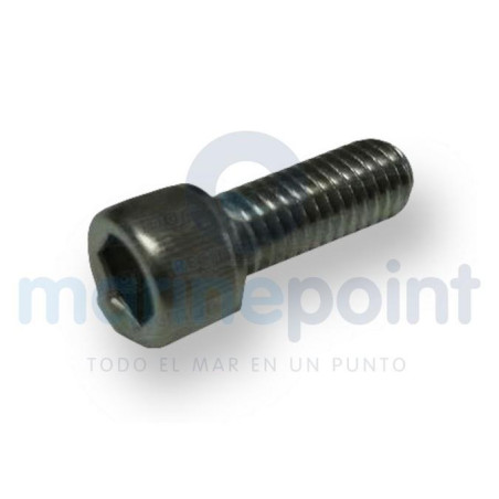 TORNILLO MCM:10-30206, 10-8M0113180 y 10-98794 (GLM28300)