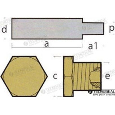 Tecnoseal - ANODO CATERPILLAR c/TAPON