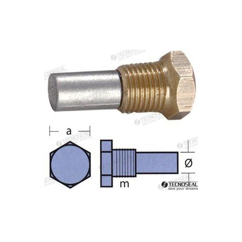 ANODO BUKH, c/TAPON, 18-8-17-10-1/4 GAS-8,5mm