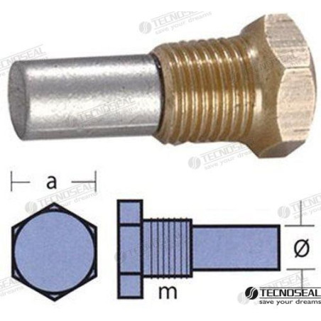 Tecnoseal - ANODO BUKH, c/TAPON, 18-8-17-10-1/4 GAS(bspt)-8,5mm