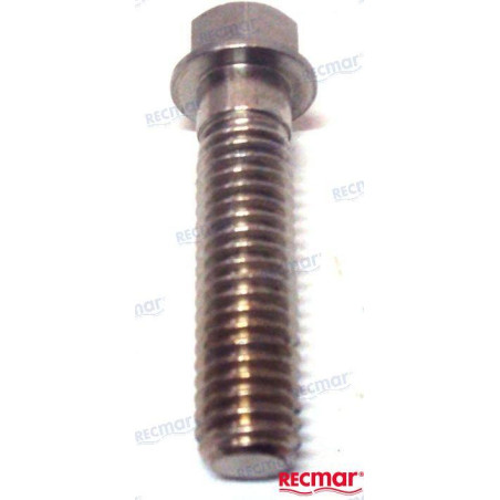 TORNILLO ANODO BRAVO I y ALPHA ONE-II, 10-806327