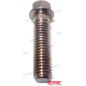 TORNILLO ANODO BRAVO I y ALPHA ONE-II, 10-806327