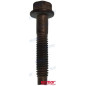 TORNILLO COLECTOR ADM.MCM, 10-806681