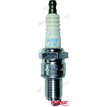 BUJIA NGK CPR6EA-9, 6899, SUZUKI:09482-00L04 (6899)...N..