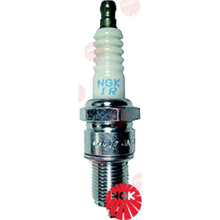 NGK - BUJIA NGK DR7EA, MCM:33-803507 y HONDA:98069-5771P (7839)