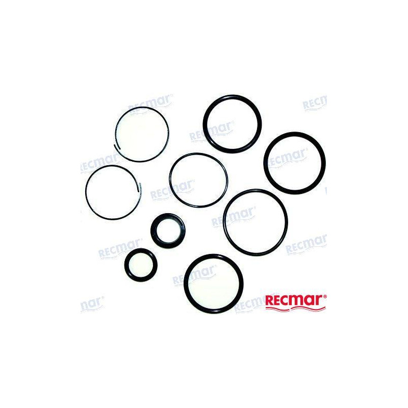 KIT REPARACION PISTON COLA VOLVO SX, 3854247 DP-SM