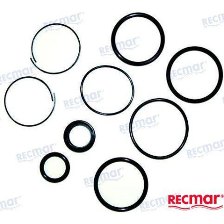 KIT REPARACION PISTON COLA VOLVO SX, 3854247