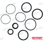 KIT REPARACION PISTON COLA VOLVO SX, 3854247