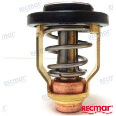 TERMOSTATO YAMAHA:6E5-12411-30