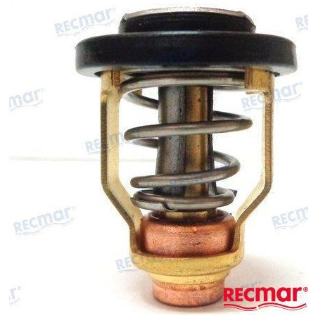 TERMOSTATO YAMAHA:6E5-12411-30