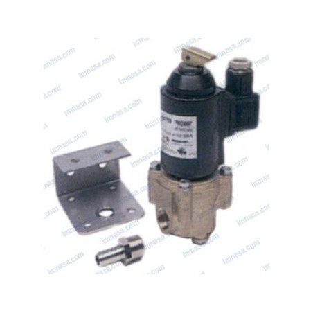 ELECTROVALVULA CARBURANTE 12v 600 l/h (01740212)