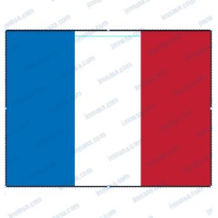 BANDERA FRANCIA, 40 x 60 cm.