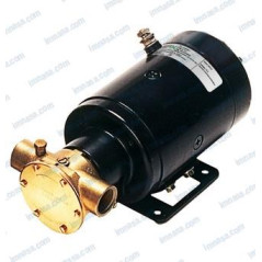 Johnson - BOMBA JOHNSON, ACEITE, DIESEL, AGUA 12v F5B19-3/4"