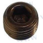 TAPON CARTER ACEITE 1/4", MCM:22-32561, 48340 y 60667