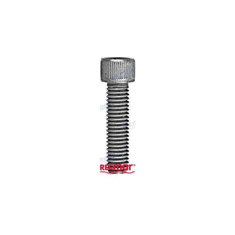 TORNILLO ANODO COLA ALPHA ONE, MCM: 10-32470