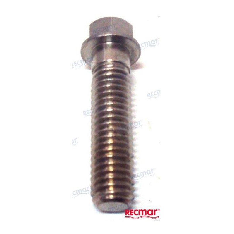 TORNILLO ANODO BRAVO I y ALPHA ONE-II, 10-806327