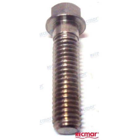 TORNILLO ANODO BRAVO I y ALPHA ONE-II, 10-806327