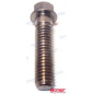 TORNILLO ANODO BRAVO I y ALPHA ONE-II, 10-806327...REC10-806327