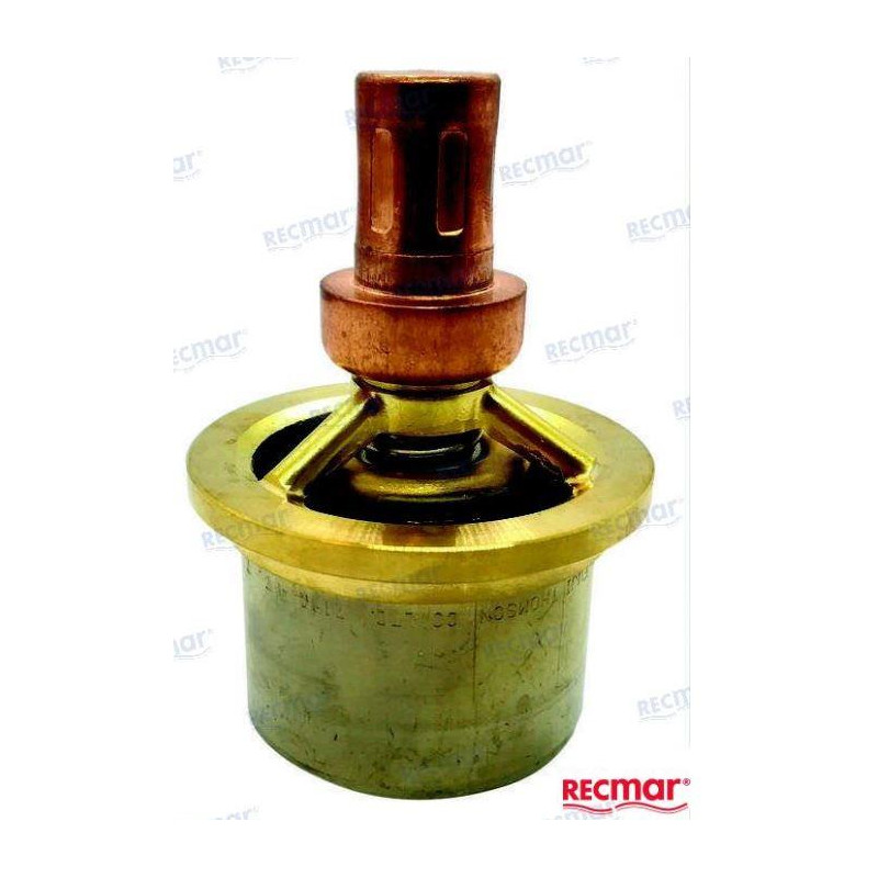 TERMOSTATO YANMAR 145640-48410