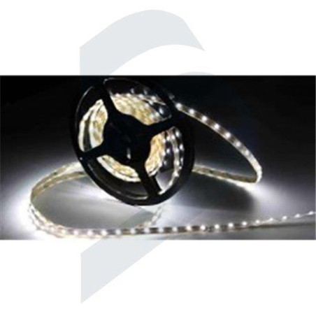 CINTA LED WP SMD3528, 60UM-BF 6000K 12v p/m...EXP