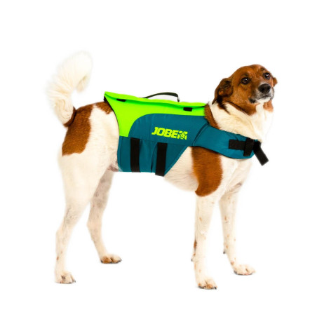 CHALECO SALVAVIDAS MASCOTA  VERDE LIMA T/XL