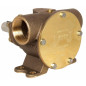 BOMBA BRONCE PEDESTAL 200, 1-1/2" BSP