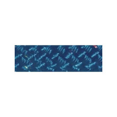 Marina Performance Ropes - DRIZA MIAMI, AZUL NAVY, 12mm, p/m