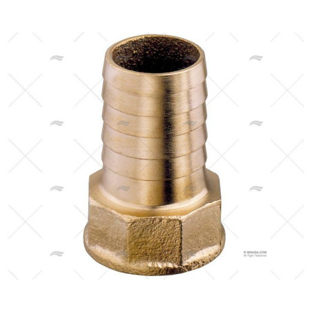 ENTRONQUE LATON HEMBRA, 3/4" x 25mm