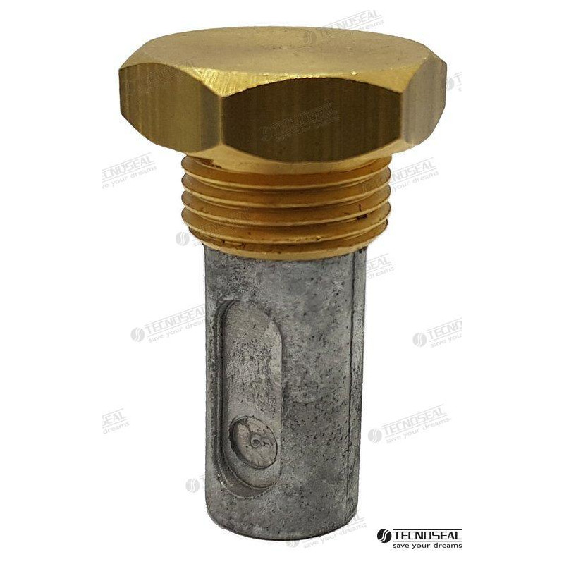 ANODO RENAULT c/ TAPON, TECNOSEAL