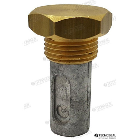 ANODO RENAULT c/ TAPON, TECNOSEAL