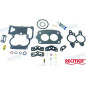 KIT REPARACION CARBURADOR, MCM:1397-5831, -5830, -5832, -7099 y 1397-8760 y OMC:050842