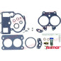 KIT REPARACION CARBURADOR, MCM:1397-5831, -5830, -5832, -7099 y 1397-8760 y OMC:050842