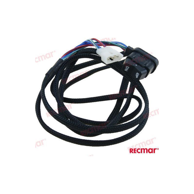 INTERRUPTOR TRIM, MCM:87-858679T2