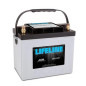 BATERIA SERVICIO AGM LIFELINE, VICTRON 12v, 80Ah. AGM