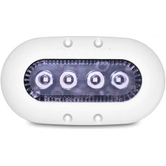 Ocean Led - LUZ AMPHIBIAN X4 BLANCA (NLS-081, 012301W)