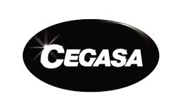 Cegasa